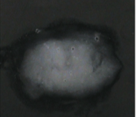 Capture d’écran 2016-05-12 à 17.39.59